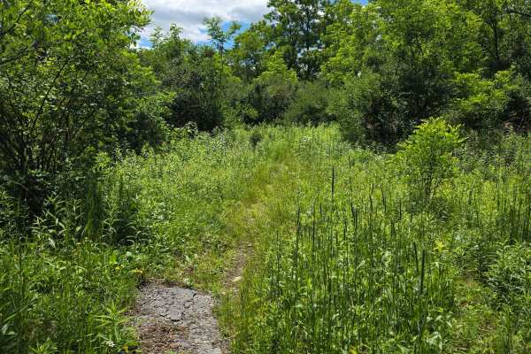 Single Track KK