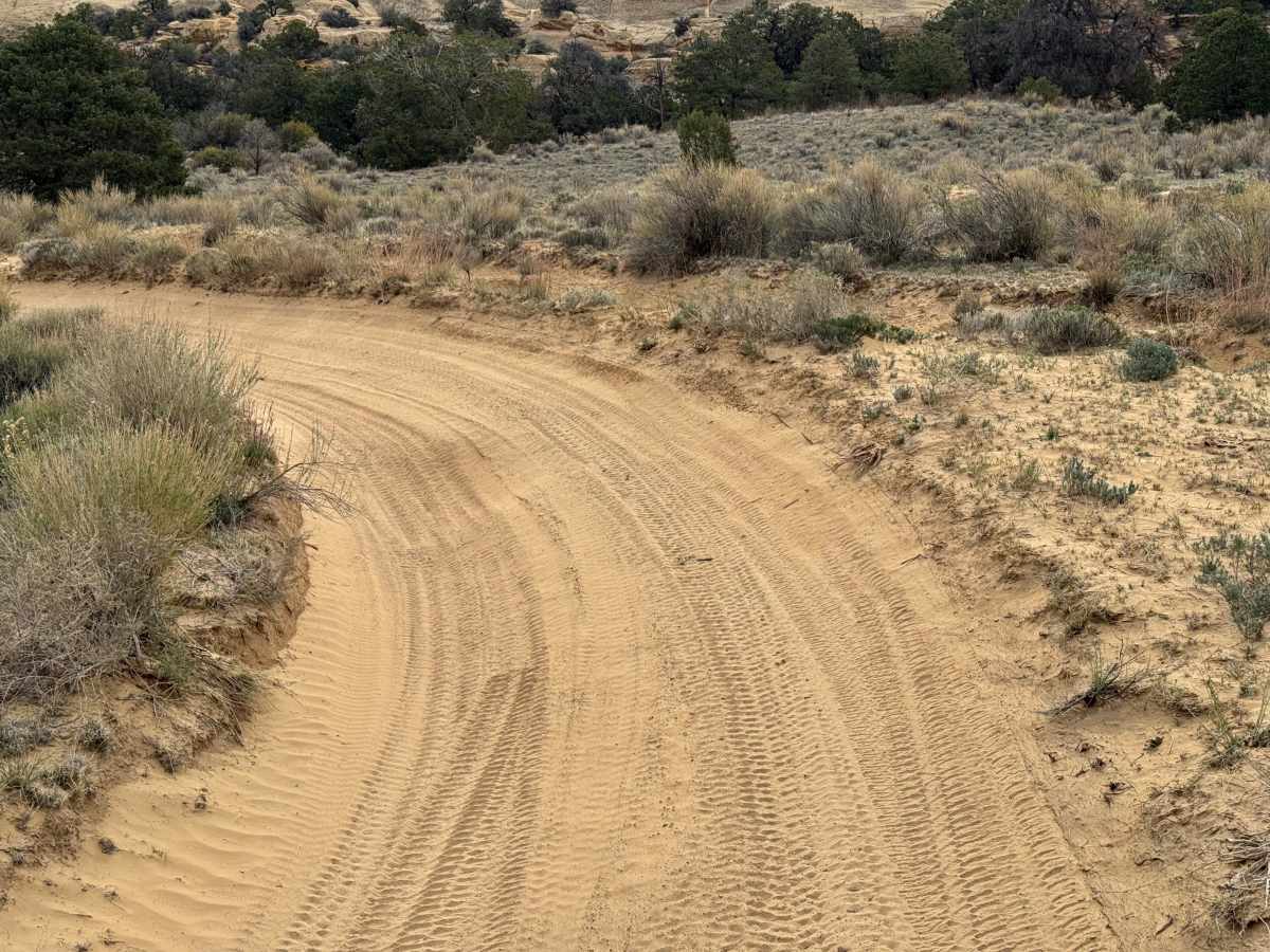 County Road 3630 photo 2