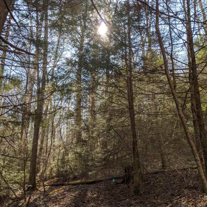 Near Windsor Bluff Overlook Trail