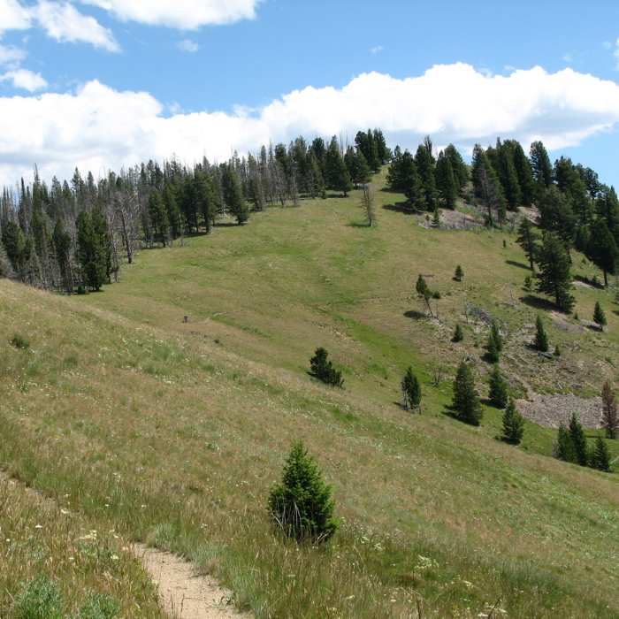 View from the junction of Porcupine Creek Trail and Warm Springs Ridge. Near Porcupine Creek Trail #205