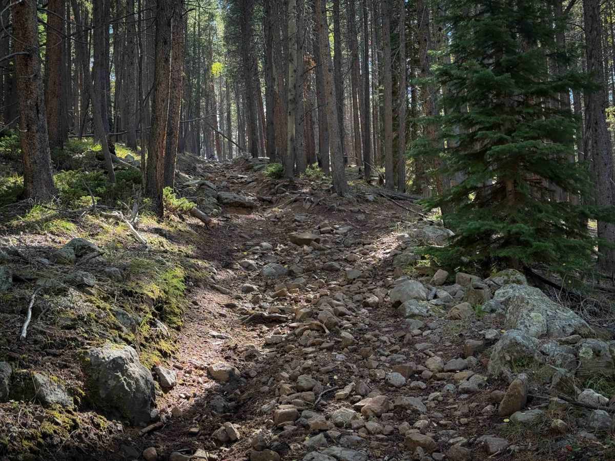 North Bald Pitkin Cut-Off Trail - FS 649  photo 3