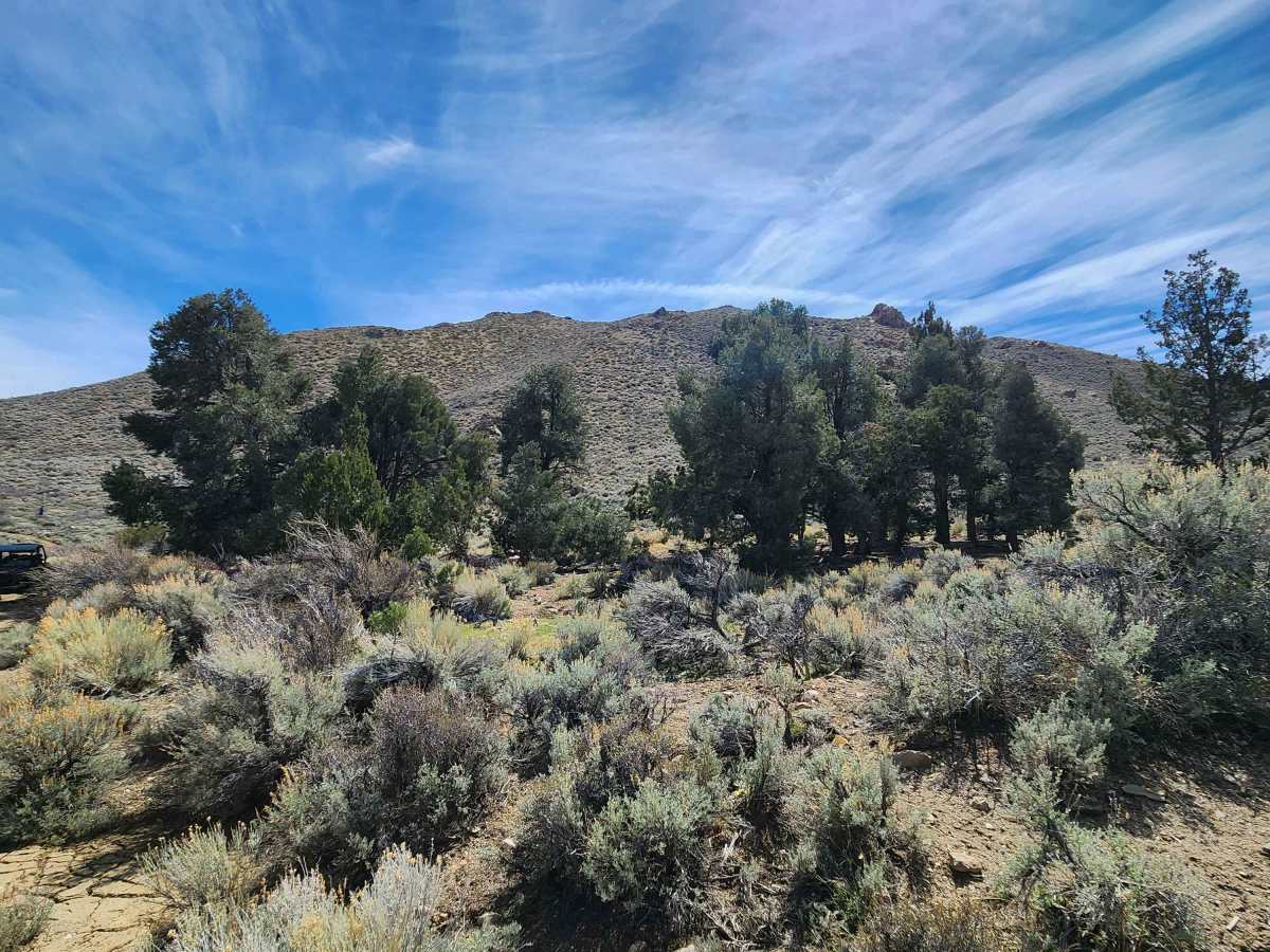 Como Sunrise Crossover Trail photo 2