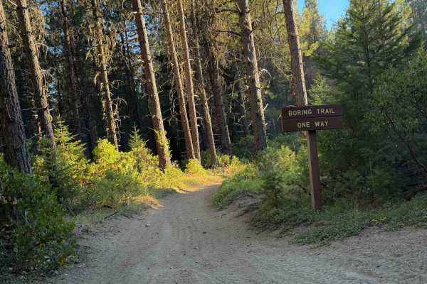 Boring Trail  
