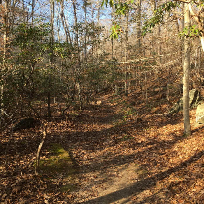 Near Birch Bluff Trail