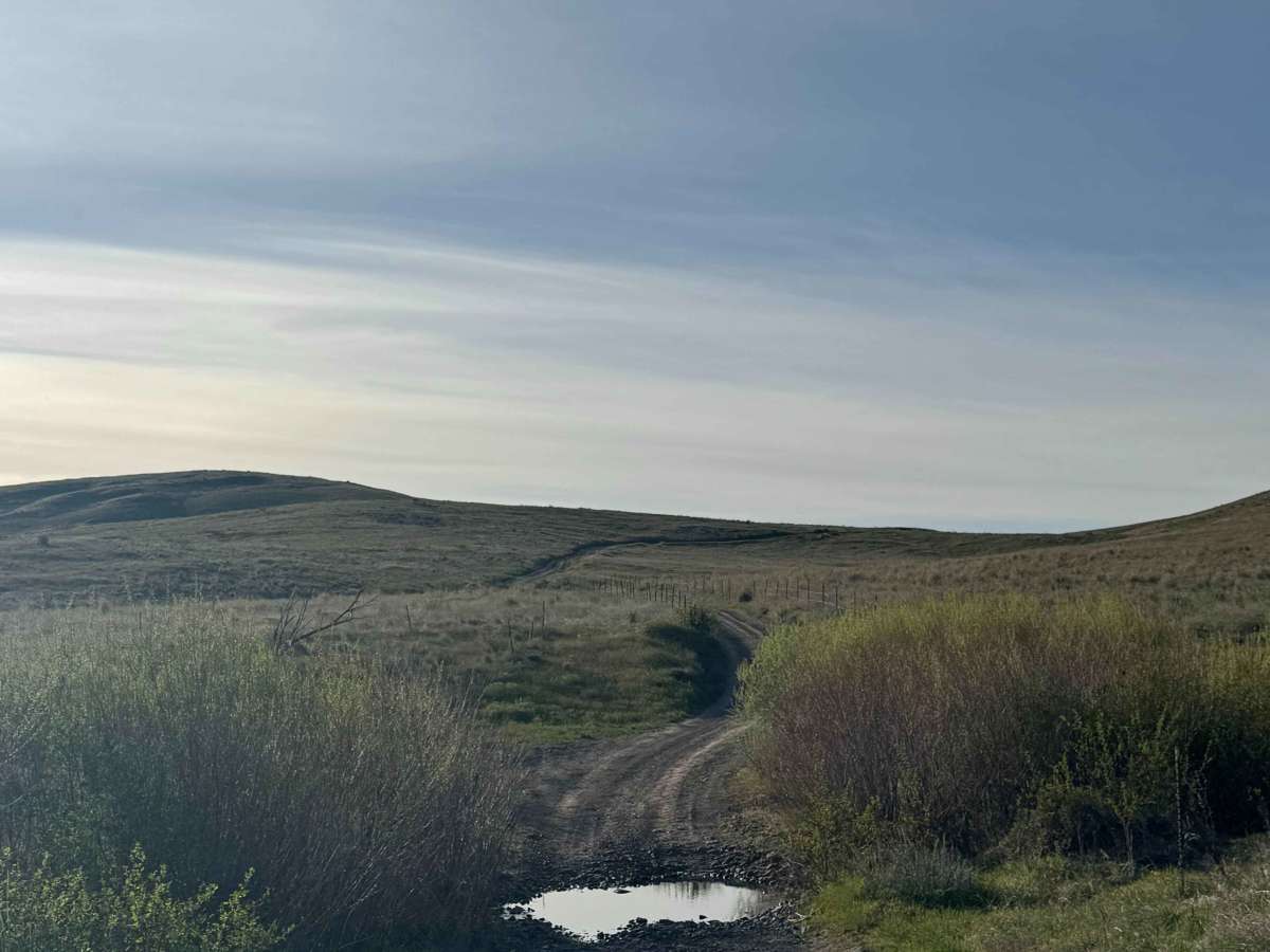 Bell Telephone Road photo 4
