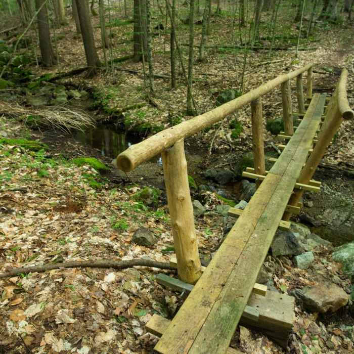 Near The Wolfjaws Near The Wolfjaws