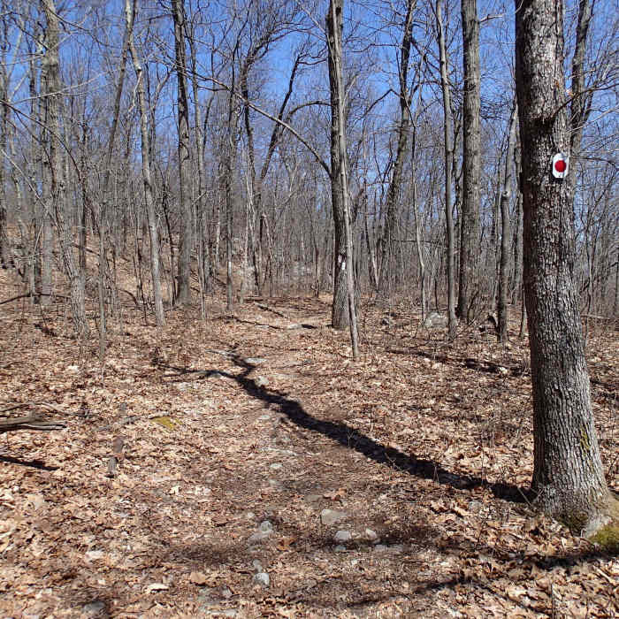 Iris Trail - Appalachian Trail junction Near Appalachian - Iris Trail Loop