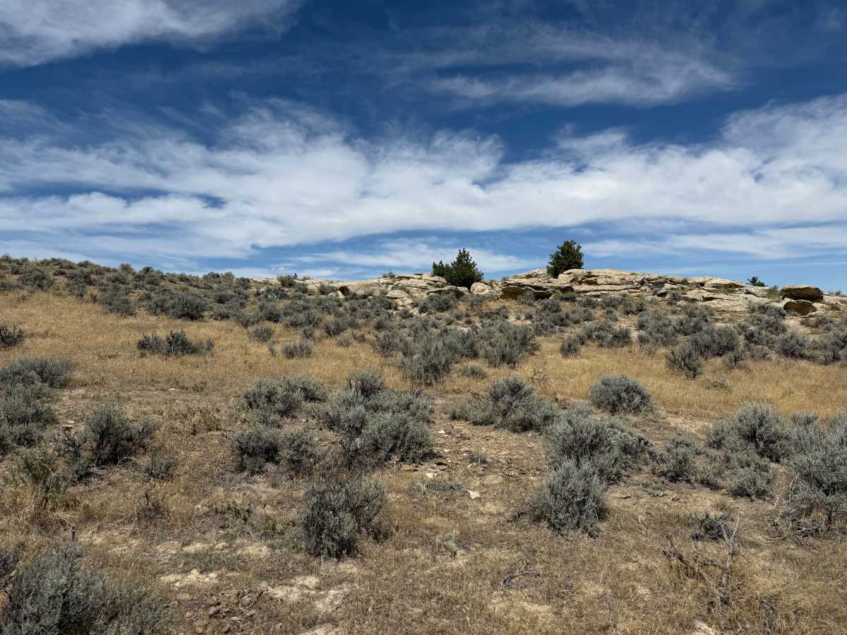 Charlie Trail photo 3