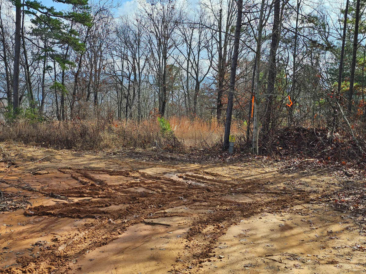 Mule Trail photo 6