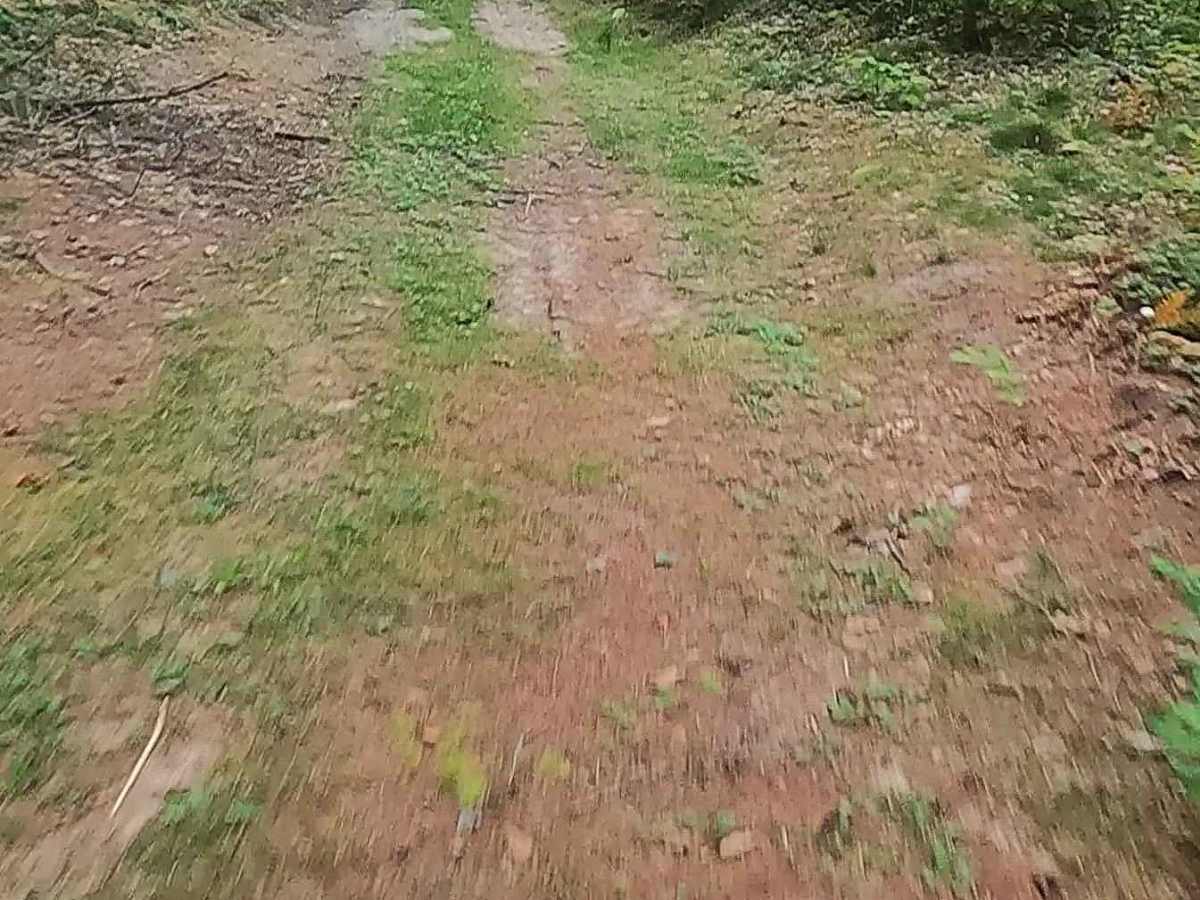 Old Stage Truck Road photo 3