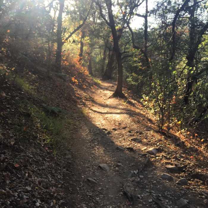 Near Mount Wilson Trail Loop