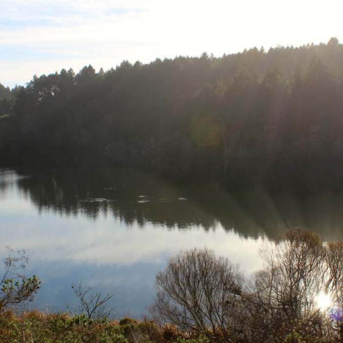 Near Palomarin Hike to Bass Lake