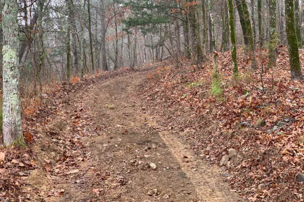 Fish Fry Creek Road