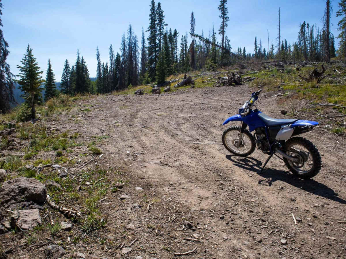 Middle Blue Creek photo 4