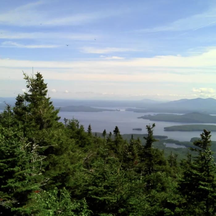 Near Big Moose Mountain Trail
