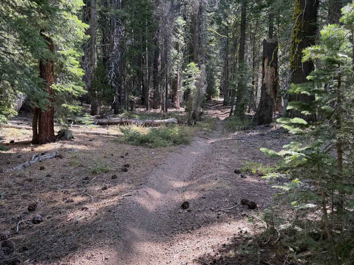 Upper Cena Lar Trail photo 5