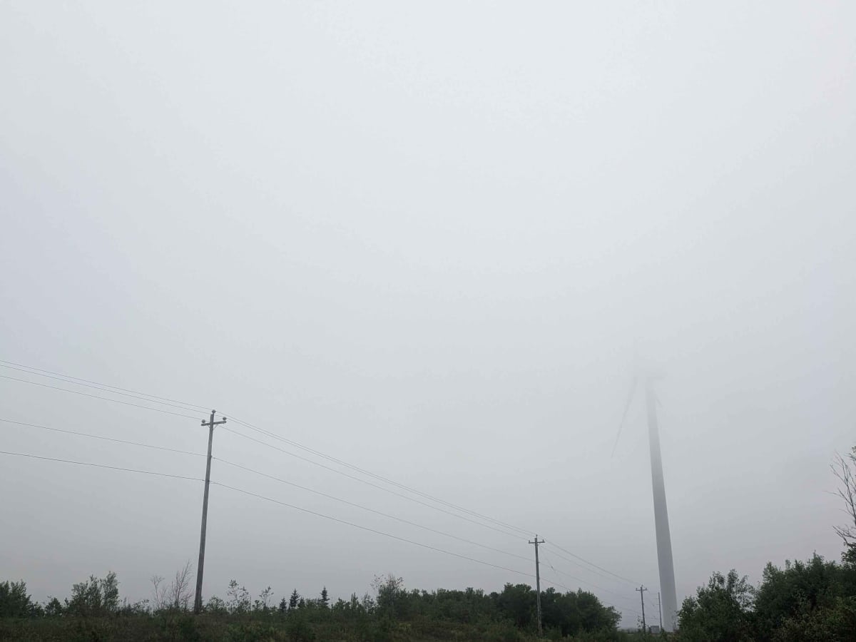 7219 Road photo 2