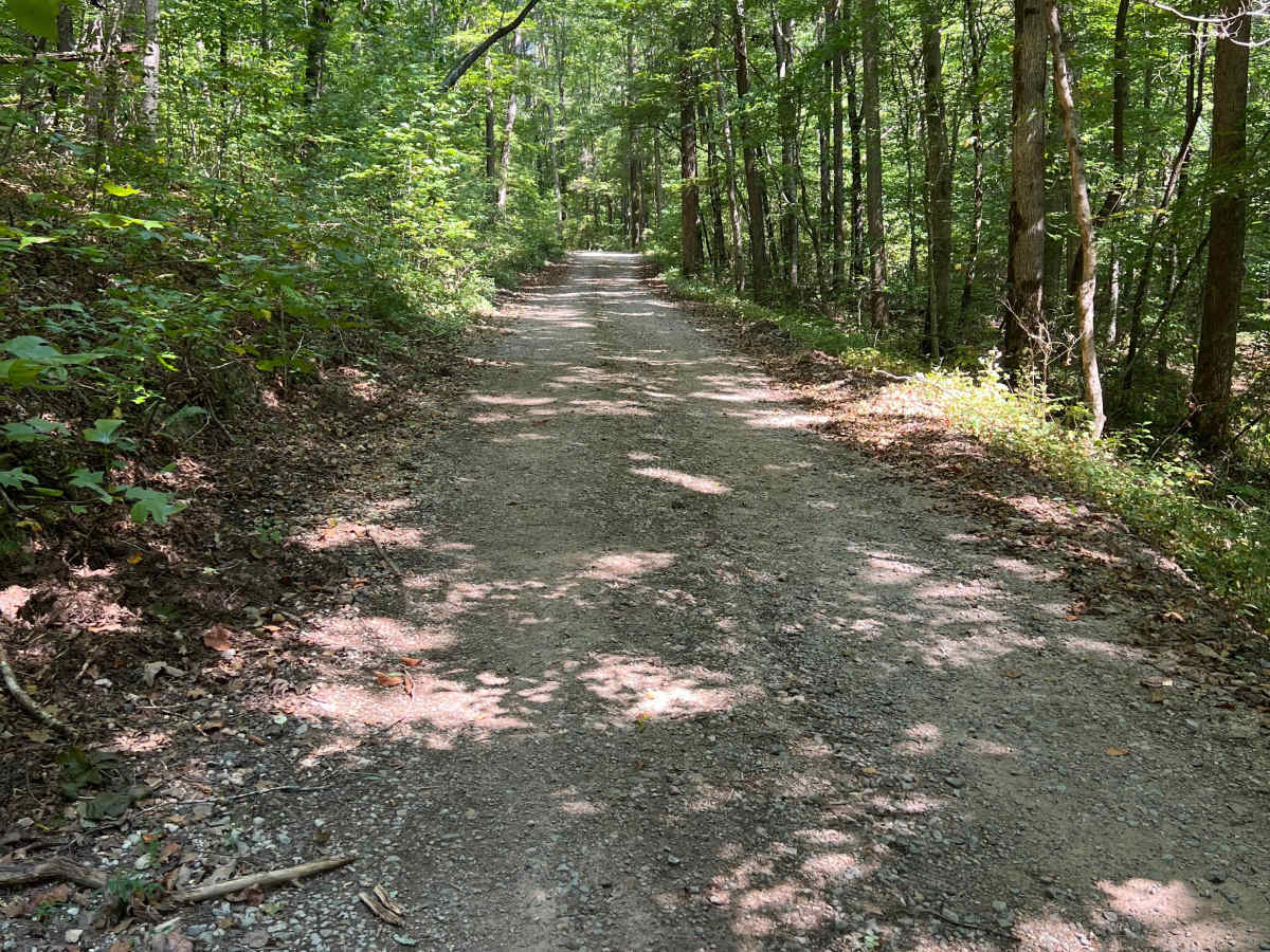 Chickamauga Creek Trail - FS 219 photo 4