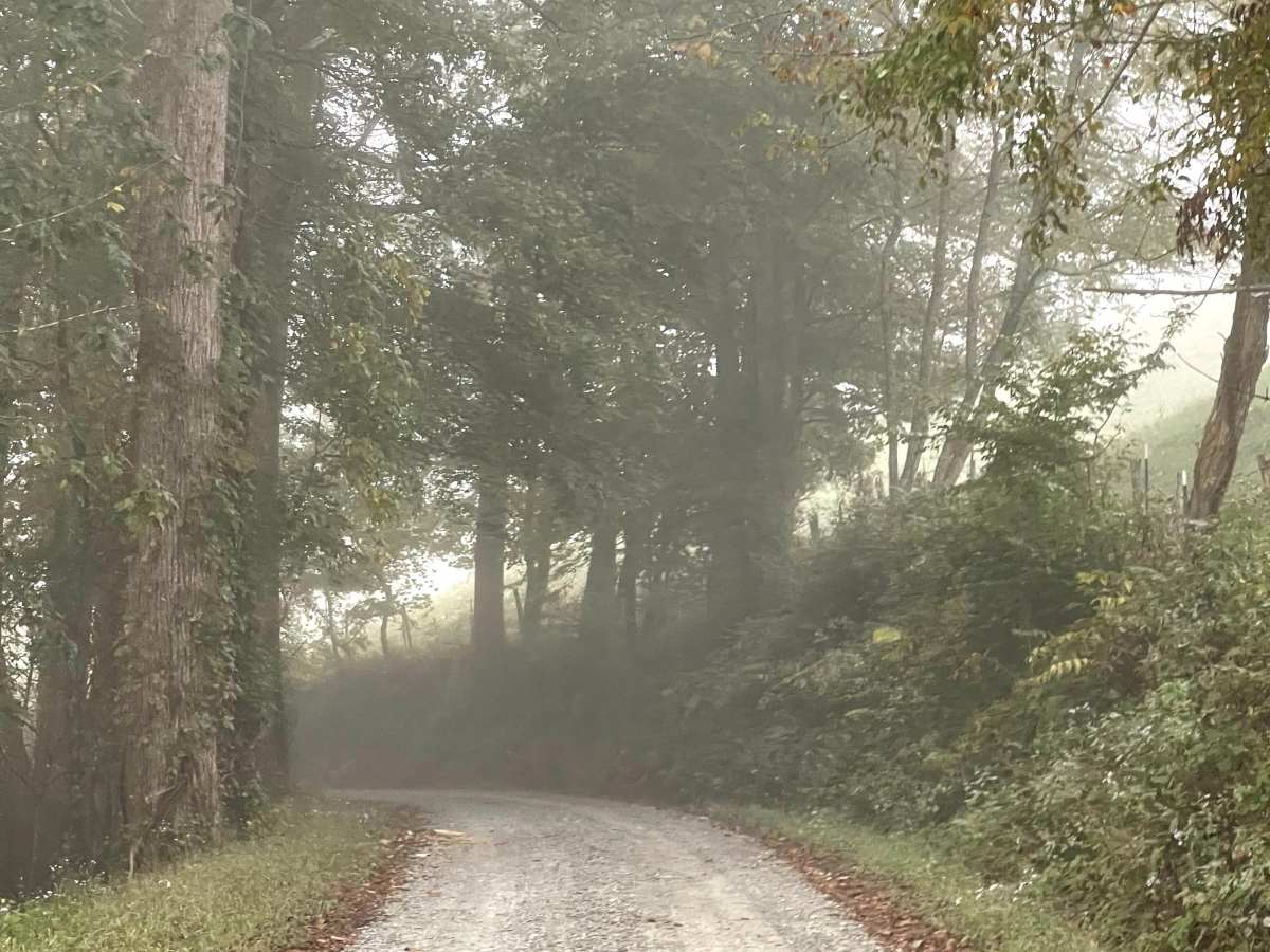 Long Ridge Road trail photo