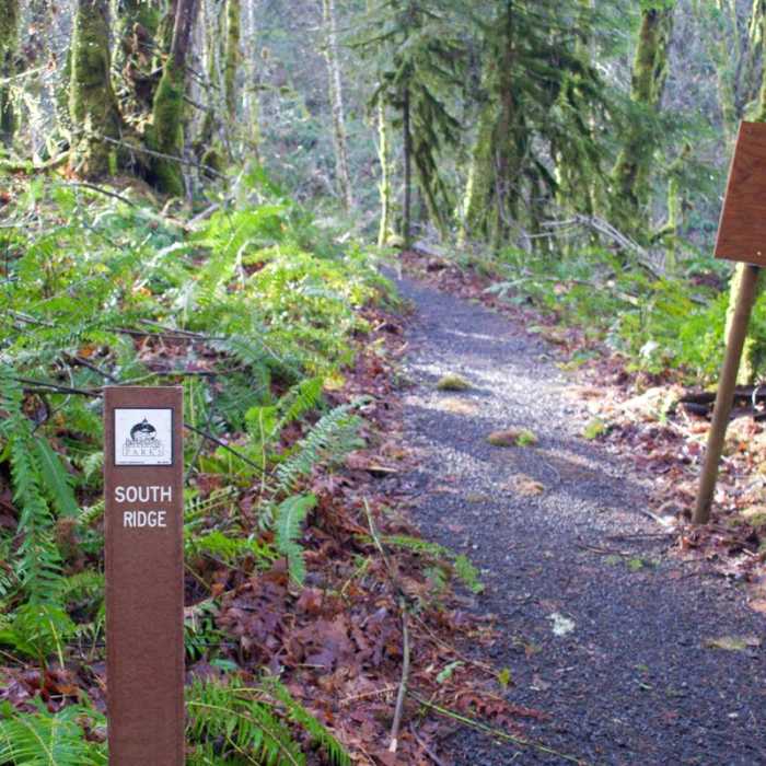 Near Beazell Memorial Forest