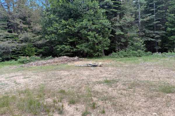 East Driscoll Spur - FS 12N40A