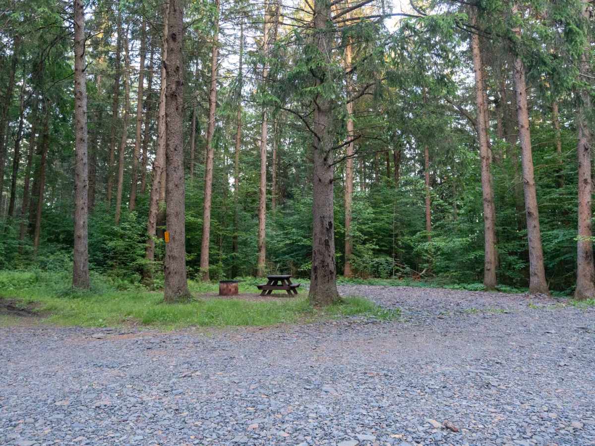 Truck Trail 14 photo 5