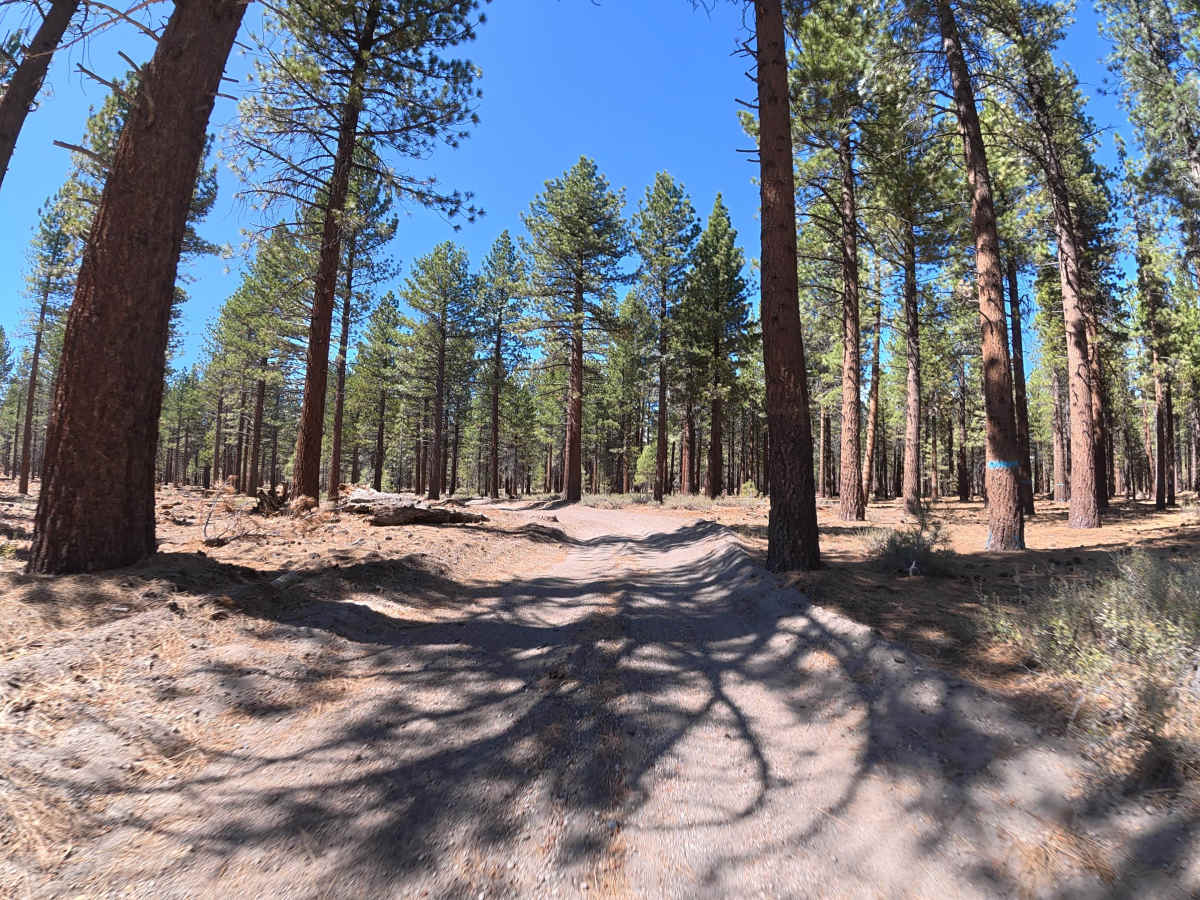 FS 3S115D trail photo