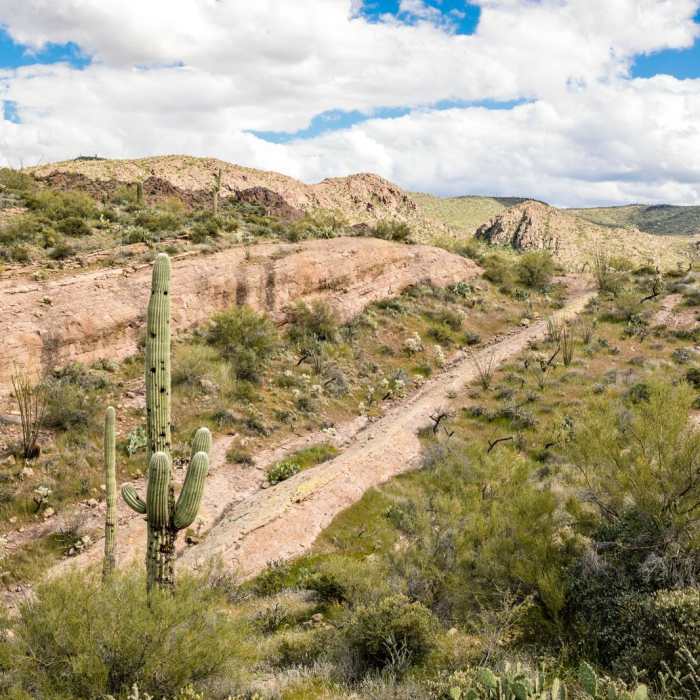 Near Second Water Trail to Hackberry Springs Loop