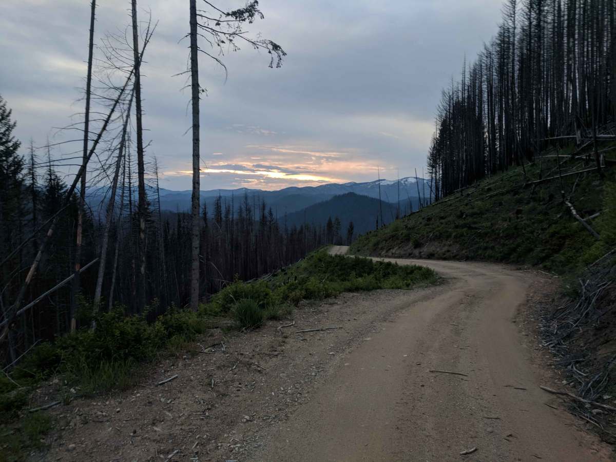 Tom Beal Park - FS 362 trail photo