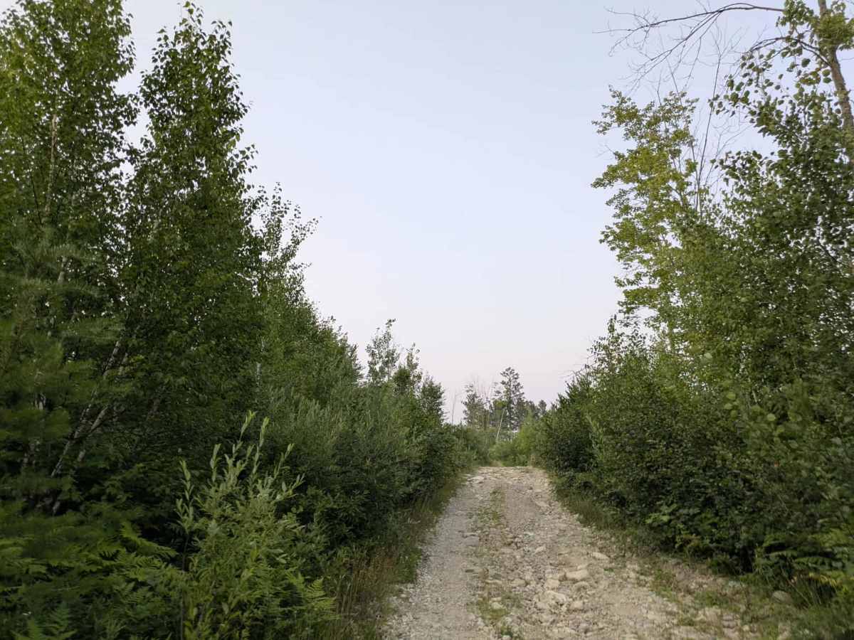 Shuster Road photo 6