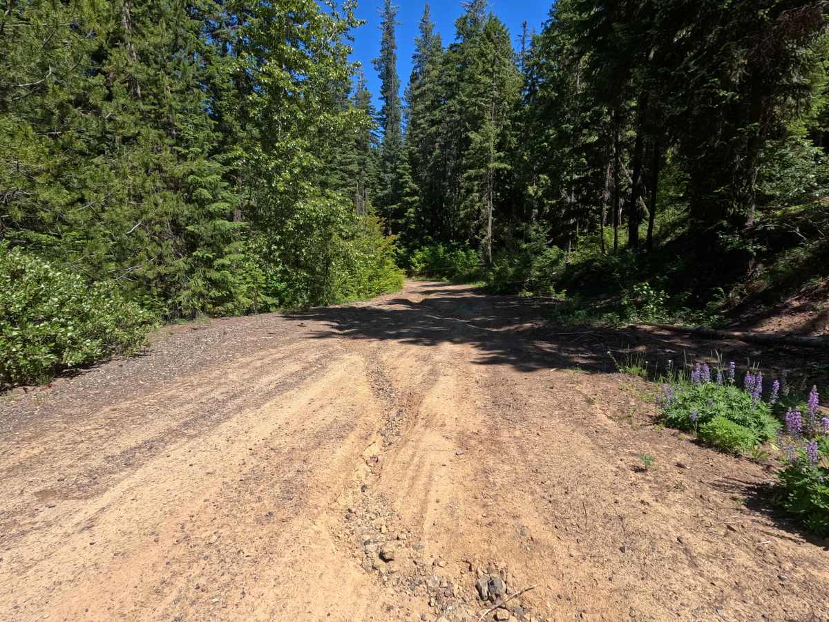 Corral Creek - FS 4305 photo 6