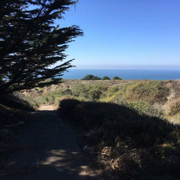 Near Greyhound Rock Trail