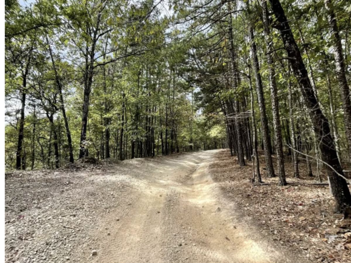 A24 Brandon's Run photo 5