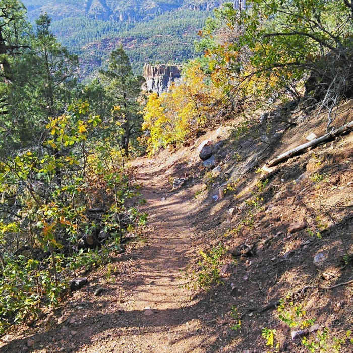Near McCauley Hot Springs Out and Back