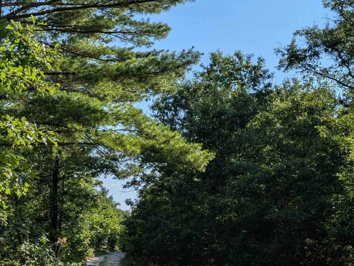Walker Spur Trail photo 4