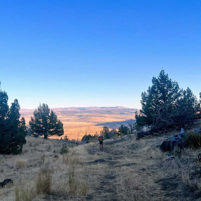 Near Frenchglen to Jack Mountain Road Near Frenchglen to Jack Mountain Road
