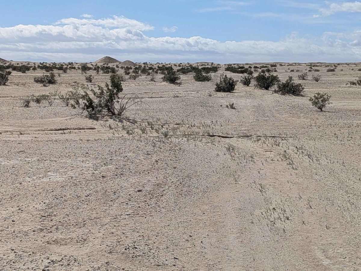 BLM 414 photo 6