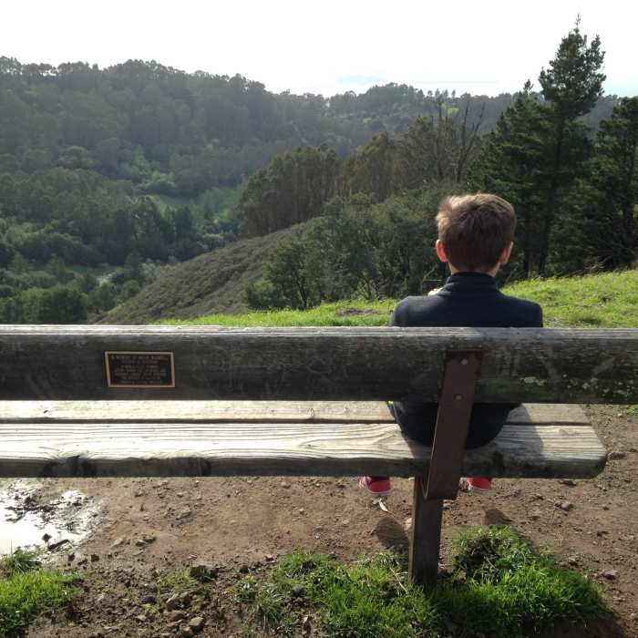 Near Seaview Trail