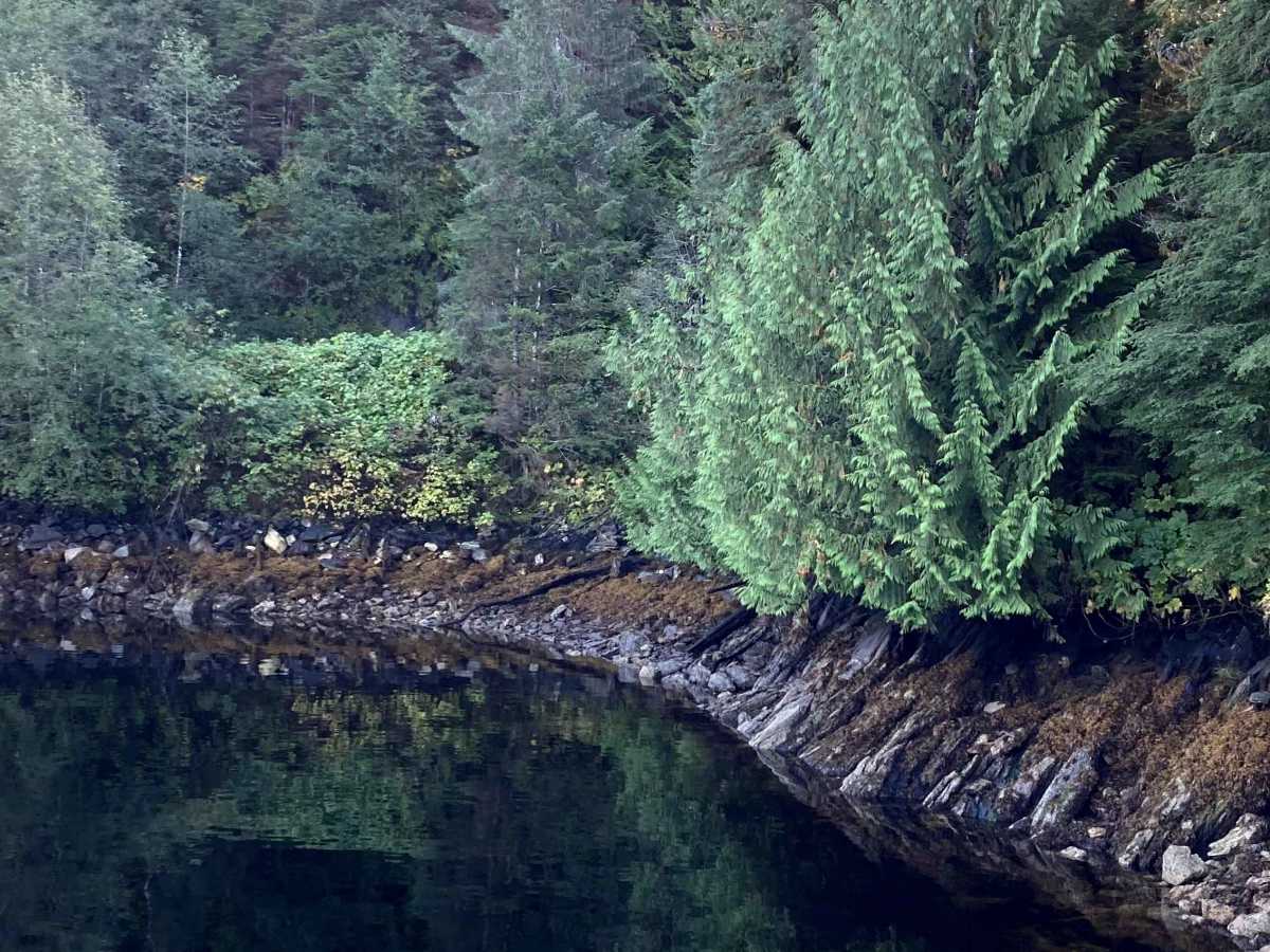 Shelter Cove Road (Section 2) photo 3