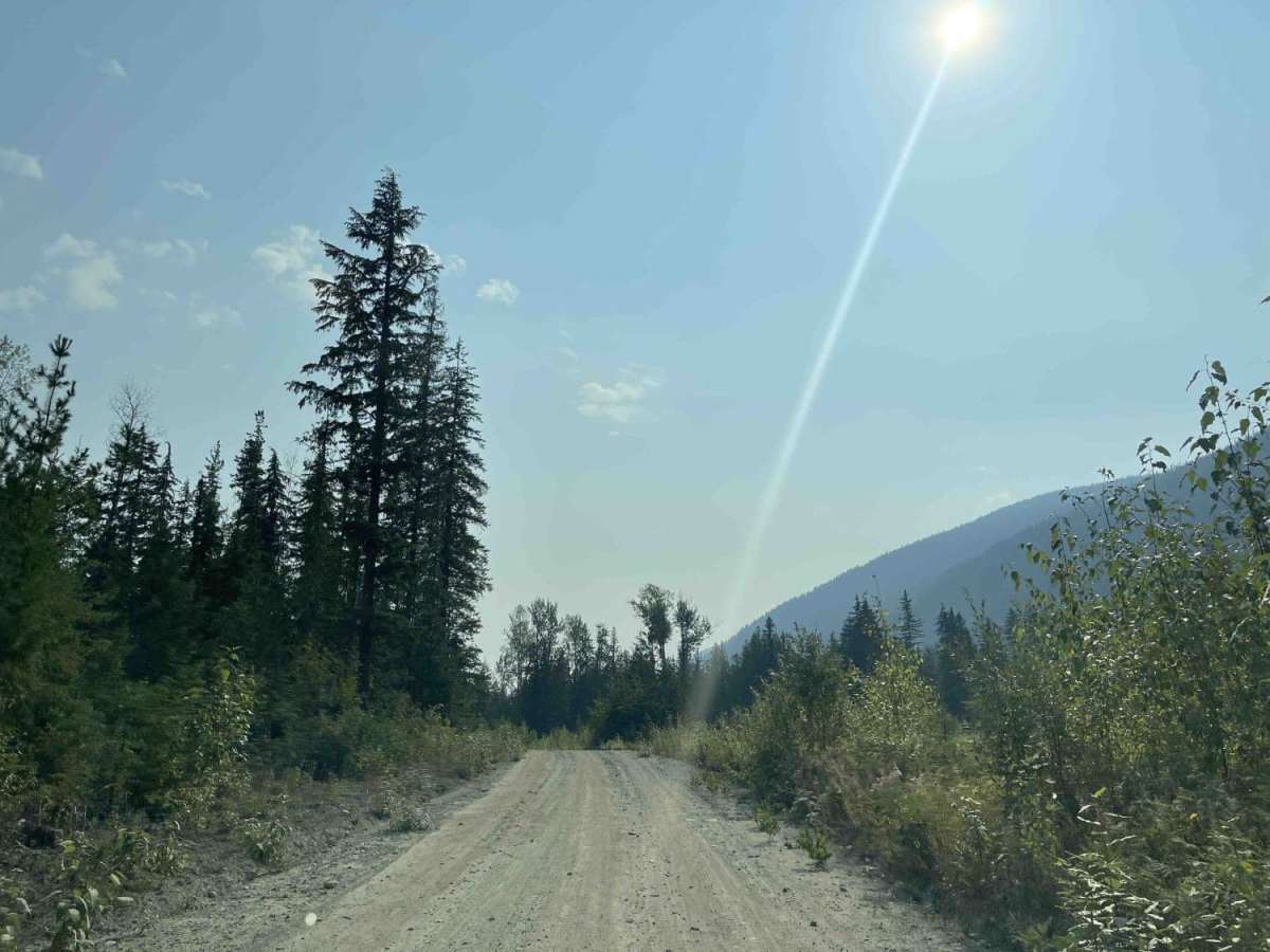 West Whatshan Road to Lookout trail photo