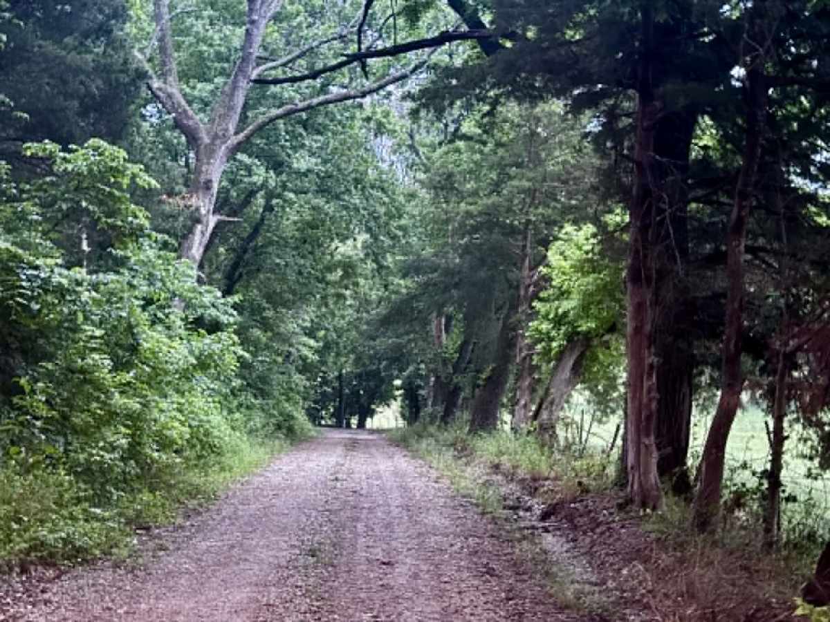 Farm Road 2025 photo 3