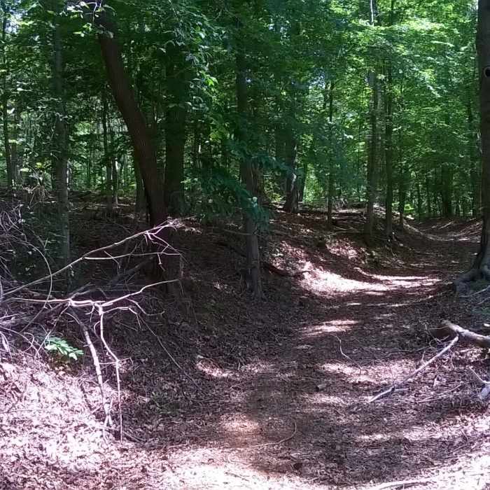 Panhandle Multi-use Trail terminus Near Panhandle Multi-use Trail