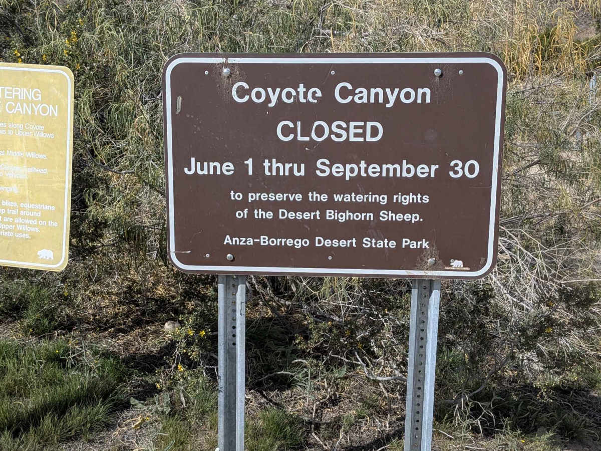 Coyote Canyon Road photo 3