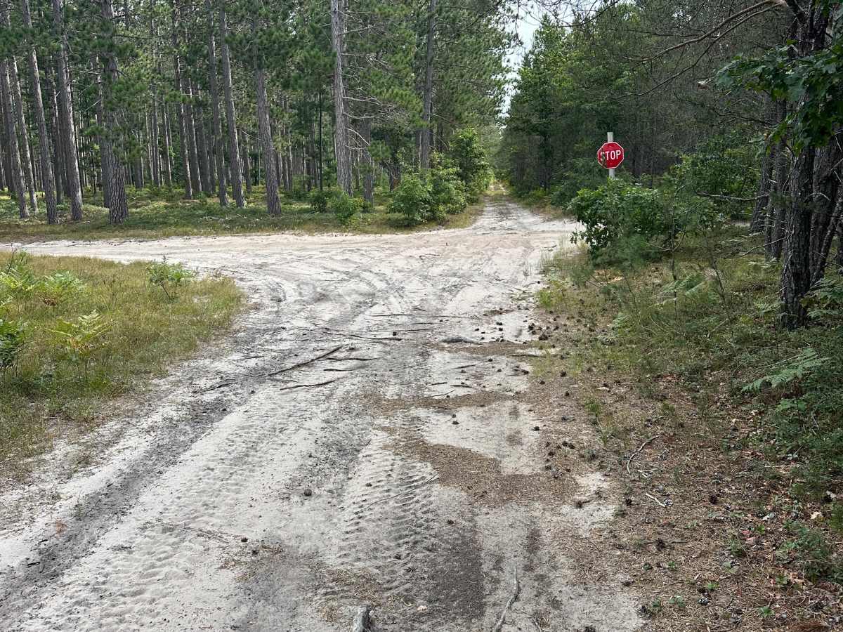 Muma Road trail photo
