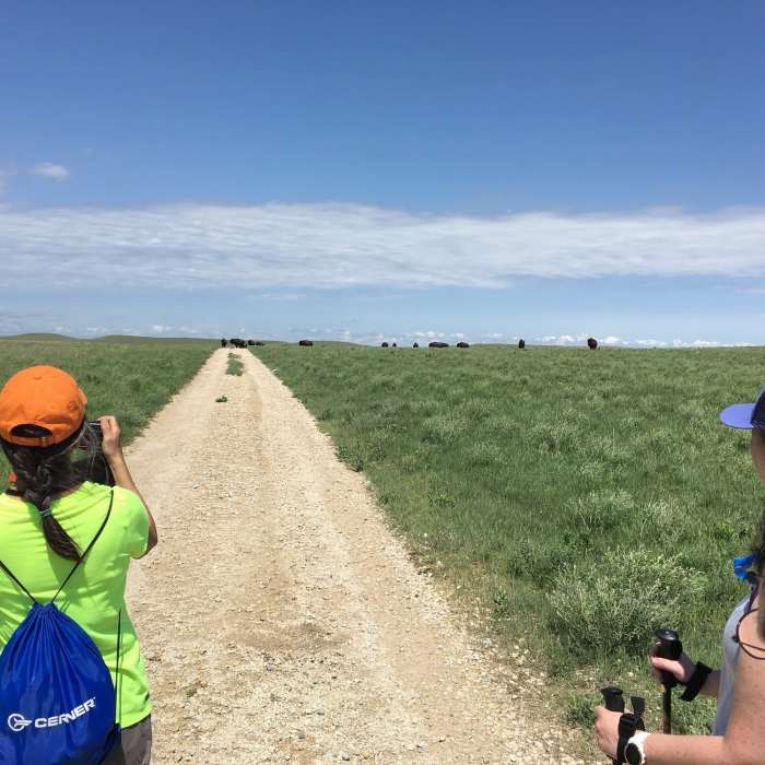 Near Tallgrass Prairie National Preserve