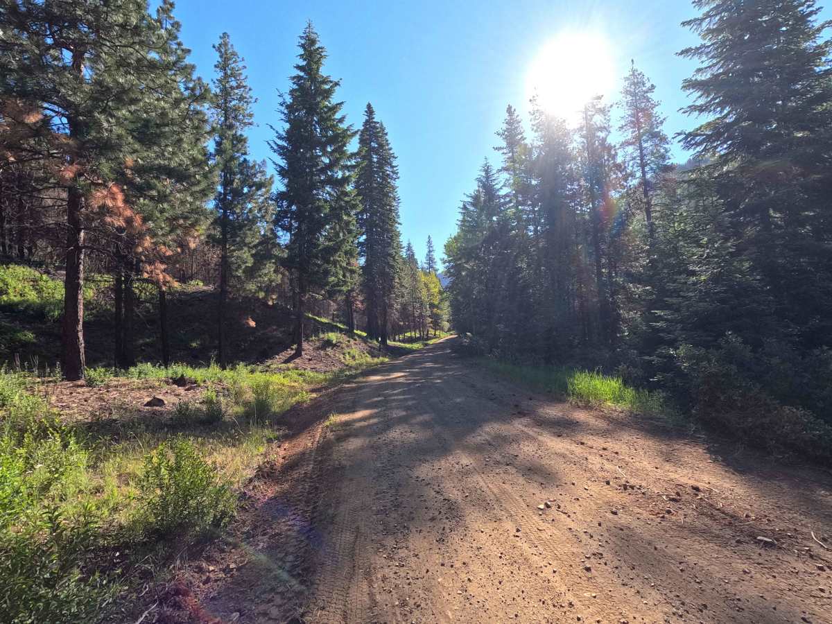 Stafford Creek Road - FS 9703 photo 5