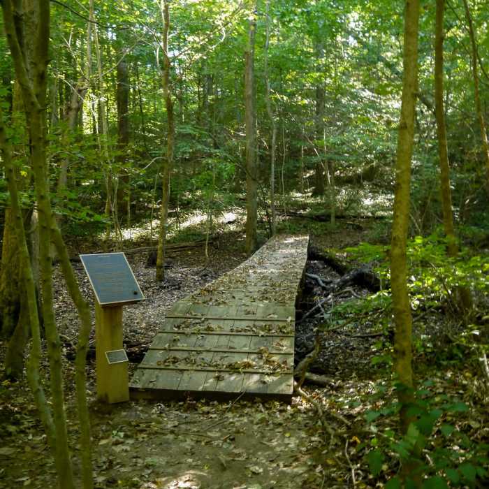 Near Stairway Trail