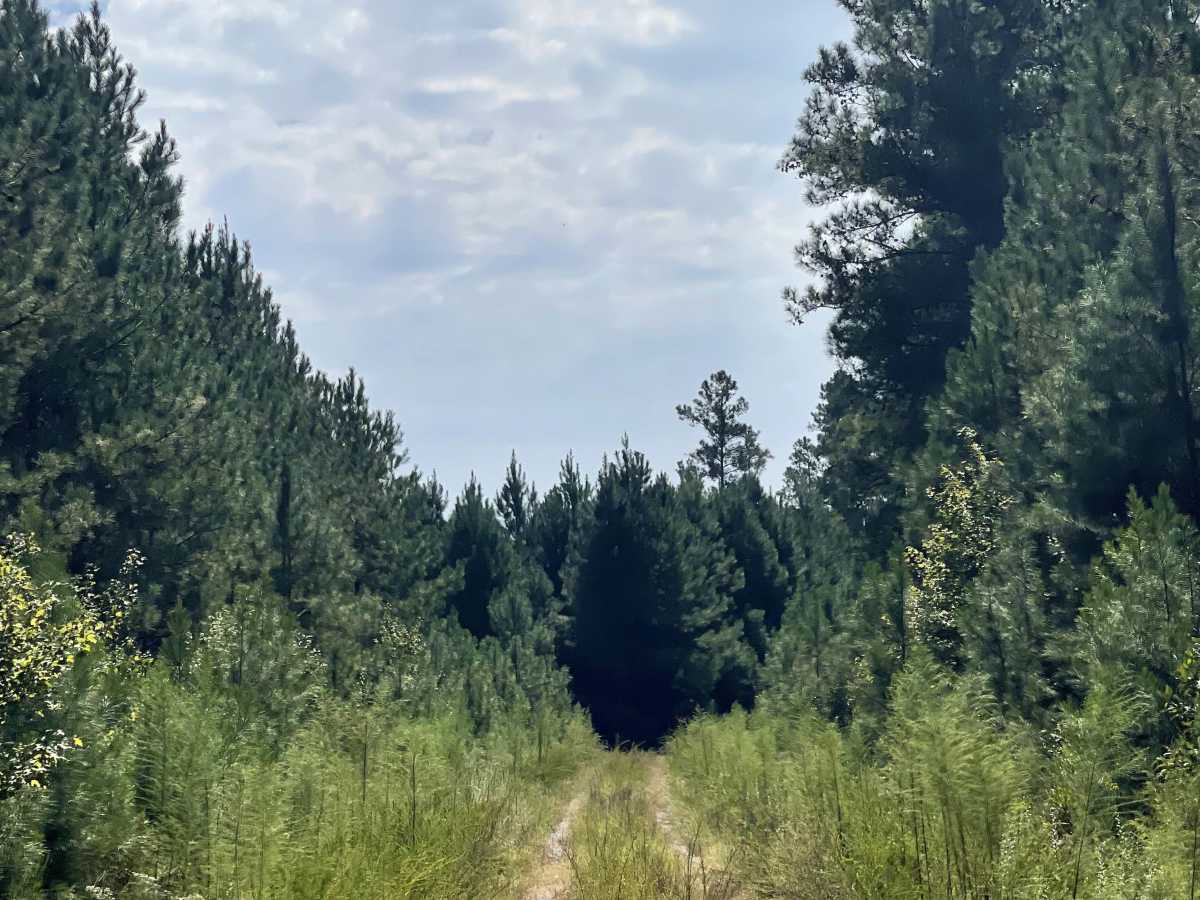 Long Ridge Road photo 2