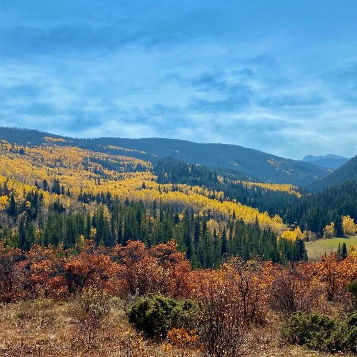 Starting up Stag Gulch Near Bellyache Lollipop