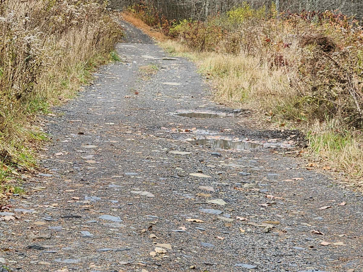 Rock Run - Rock Run Recreation Area photo 4